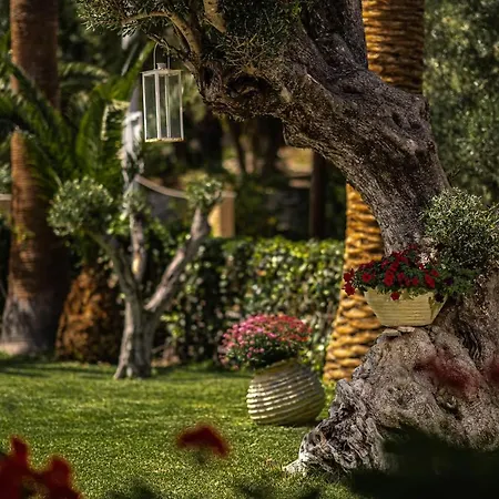 Phoenix Apartman