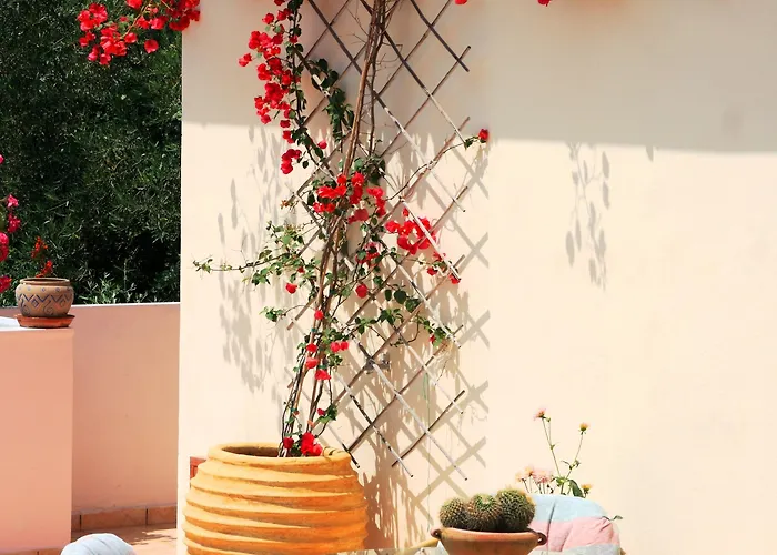 Phoenix Apartamento *