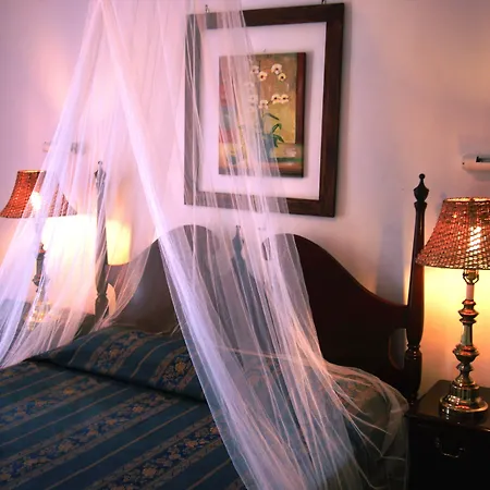 Lejlighed Phoenix Keri