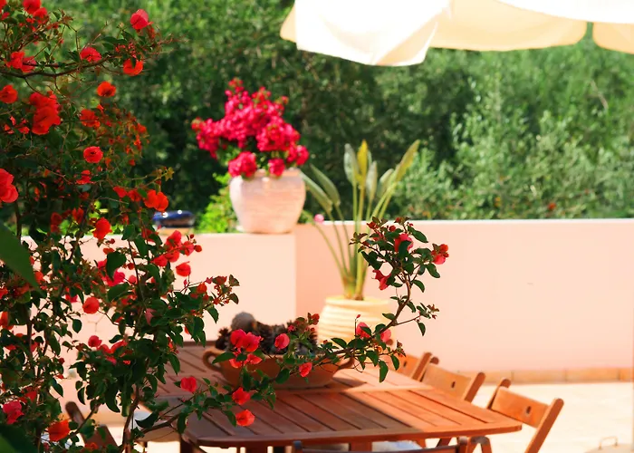 Apartament Phoenix